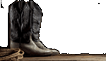 western cowboy boots