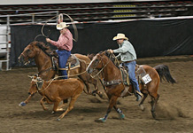 Pro Rodeo Gear/Roping Bags