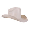 American Hat Co 601 PRCA Straw Hat