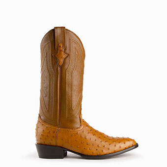 Ferrini Men's Colt Full Quill Ostrich R Toe Boots - Cognac #3