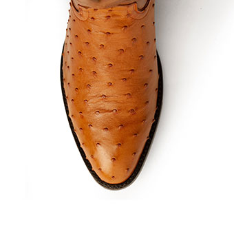 Ferrini Men's Colt Full Quill Ostrich R Toe Boots - Cognac #2
